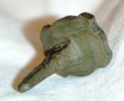 DSC02789.JPG