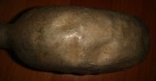 DSC07113.JPG