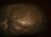 DSC07115.JPG