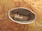 DSCN3855.JPG