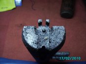 IMG_1555.jpg
