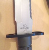 p5.jpg