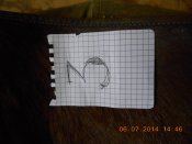 DSCN0884.JPG