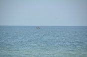 DSC_0910.JPG