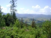 DSC06673.JPG