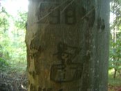 DSC06659.JPG