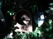 DSC01308.JPG