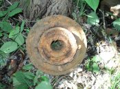 DSC01310.JPG