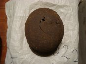 DSC07008.JPG