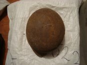 DSC07020.JPG