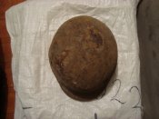 DSC07012.JPG