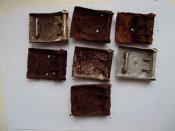 DSC00582.JPG