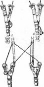 d6_007.jpg