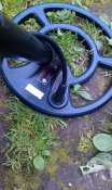IMAG0755.jpg