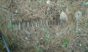 20140614_210032.jpg