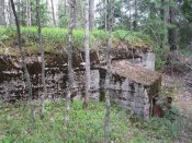 IMG_1423.JPG