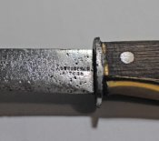 DSC_8157.JPG