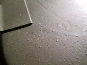 IMG_0457.JPG