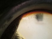 IMG_0470.JPG