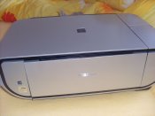 SL382245.JPG