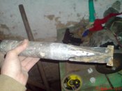 DSC00983.JPG
