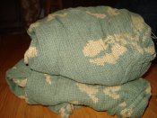 DSC07523.JPG