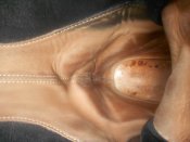 DSCN6799.JPG