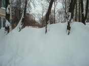 DSC05377.jpg