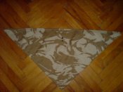 DSC08721.JPG