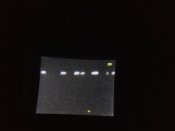 P14-11-12_21-19.jpg