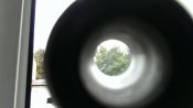 IMAG2172.jpg
