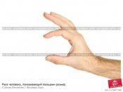 ruka-cheloveka-pokazyvayuschii-paltsami-razmer-0003411144-preview.jpg