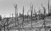 IS_Monte%20Cassino_L%20II%201_007.jpg