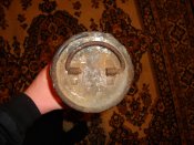 DSC04278.jpg