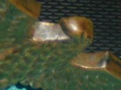 CIMG7292.JPG