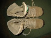 ty 610.jpg
