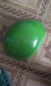 IMAG0584.jpg