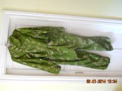 DSCN4877.JPG