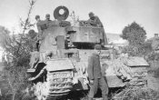 tiger 3.jpg