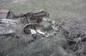 Макс1.jpg