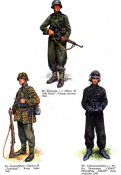 Waffen SS 39-45 (6).jpg