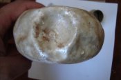 DSC05422.JPG