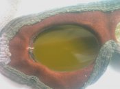 IMAG0605.jpg