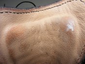 DSCF4561.JPG
