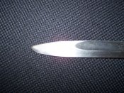 bayo 002.jpg