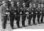 athene-5pxpji102hk103w5919a_layout.jpg