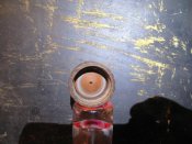IMG_0234.jpg