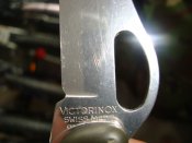DSC08845.JPG