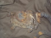 DSC06677.JPG