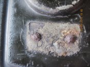 IMG_5463 (Копировать).jpg